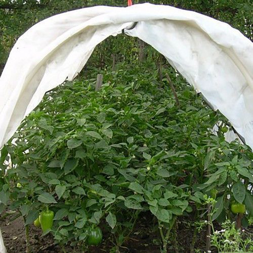 Парник з агроволокна фірми Agreen щільність 42, 8 м 871592591 фото