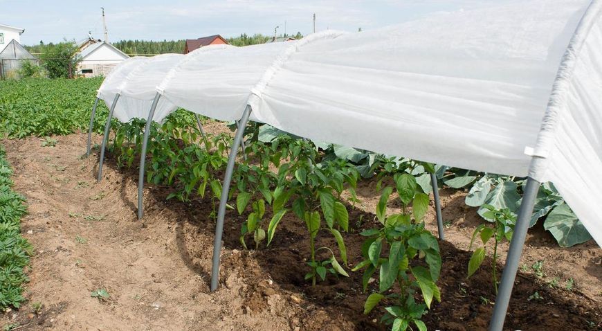 Парник з агроволокна фірми Agreen щільність 42, 10 м 871603743 фото