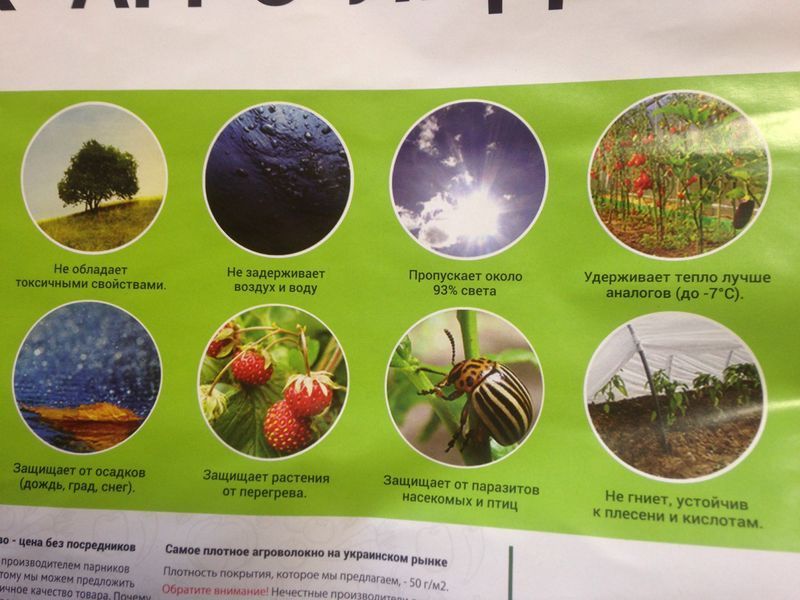 Парник мини теплица из агроволокна фирмы Agreen плотность 42, 3 м 1337970169 фото