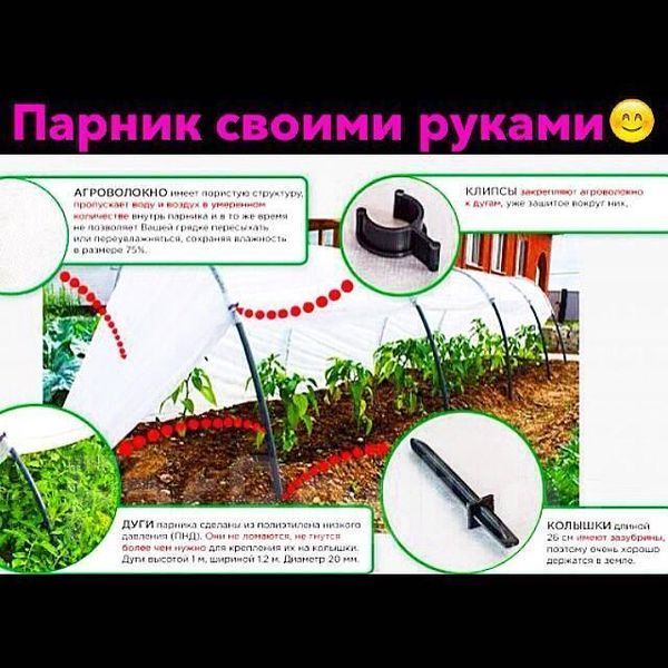 Парник з агроволокна фірми щільність 50, 8 м 871750586 фото