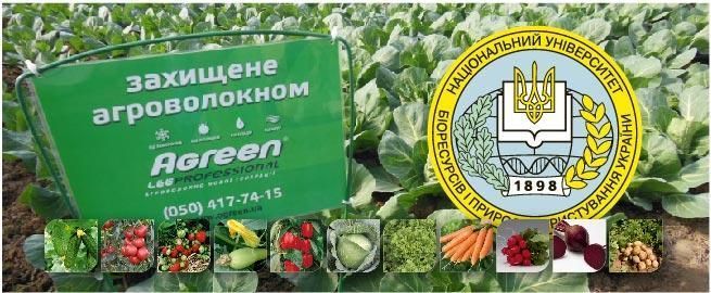 Парник мини теплица из агроволокна фирмы Agreen плотность 42, 4 м 1337976530 фото