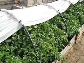 Парник мини теплица из агроволокна фирмы Agreen плотность 42, 6 м 1337982362 фото