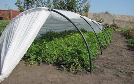 Парник з агроволокна фірми Agreen щільність 42, 12 м 1337998181 фото
